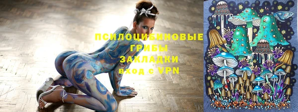 не бодяженный Богородицк