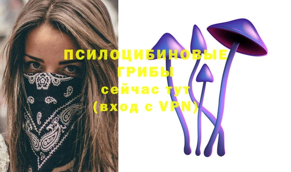 МДМА Богданович